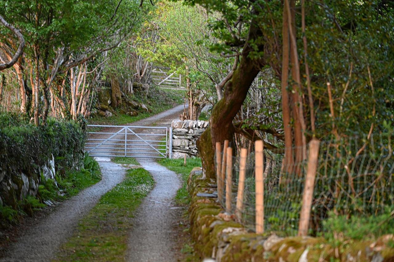 スランベドルTy Gwennol Near Gilfach Gochアパートメント エクステリア 写真